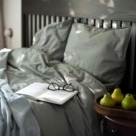 Teika No 2 Apartment-retro On Brivibas Street-free Parking Appartement Riga