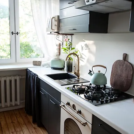 Teika No 2 Apartment-retro On Brivibas Street-free Parking Appartement *