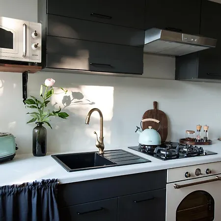 Teika No 2 Apartment-retro On Brivibas Street-free Parking 公寓 *
