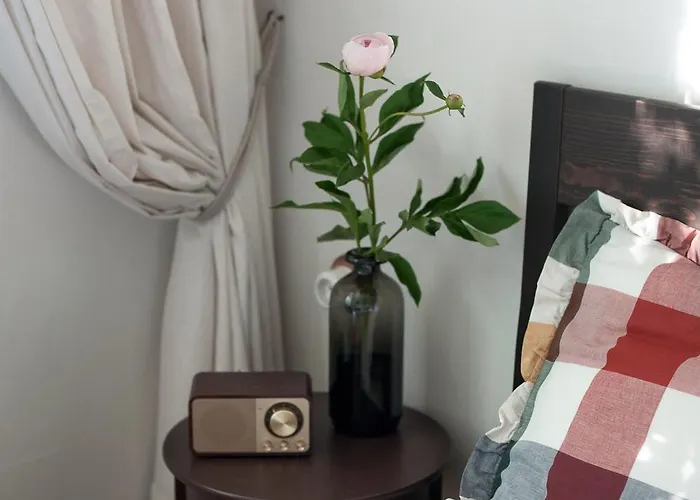 Teika No 2 Apartment-retro On Brivibas Street-free Parking