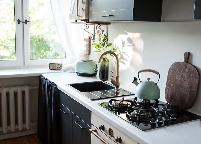 Teika No 2 Apartment-retro On Brivibas Street-free Parking Appartement *