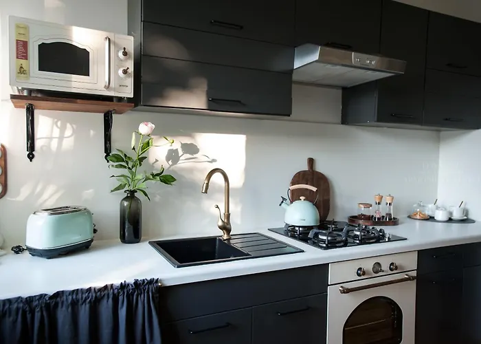 Teika No 2 Apartment-retro On Brivibas Street-free Parking Appartement *