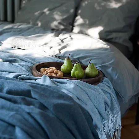 Teika No 2 Apartment-retro On Brivibas Street-free Parking Apartment Riga