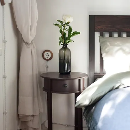 Διαμέρισμα Teika No 2 Apartment-retro On Brivibas Street-free Parking