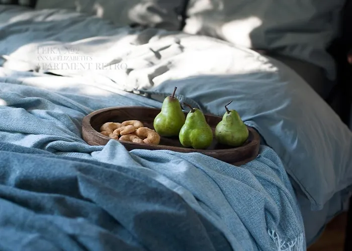 Teika No 2 Apartment-retro On Brivibas Street-free Parking Appartement Riga